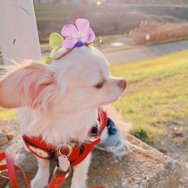 903188e3 78f3 4673 b71b 81ac2ec1222d 1674033018058