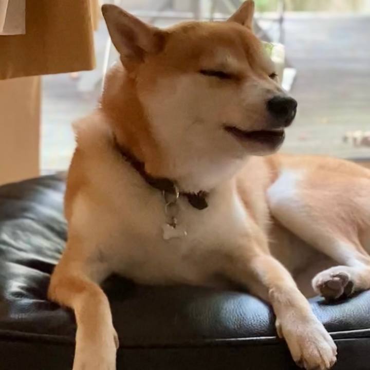 903189ad 2dfe 4bf7 bf53 b5698251838d 1661338622521