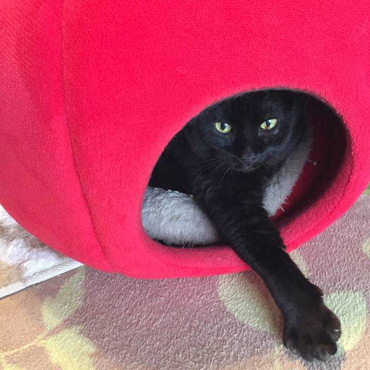 9031b4ea f6fd 4d10 b2cf 6e3c7e604c9a 1525469175344