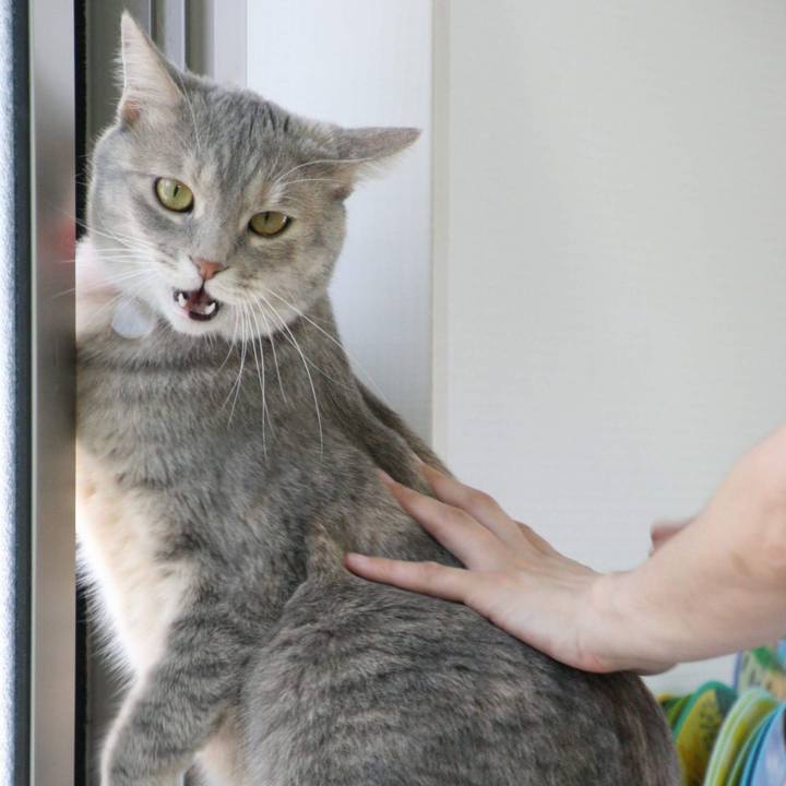 9031c985 6df1 4fc5 abea 14e250e9e375 1532399229941