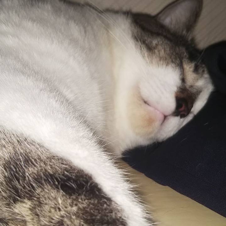 9031f5a6 1110 472f b48b 939f0d61f95b 1633947153963