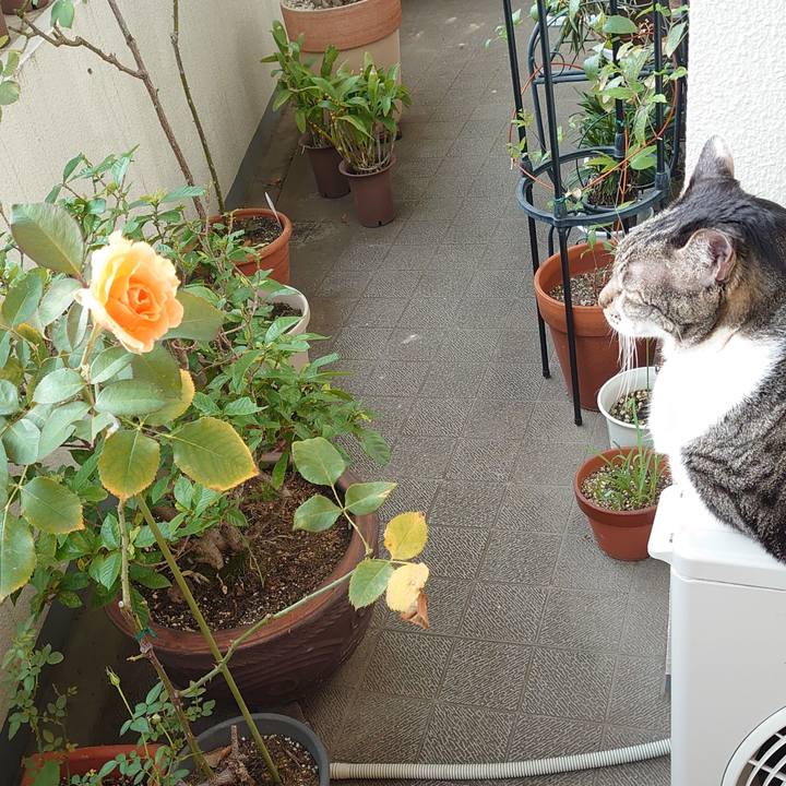 9032131a 2820 48ff 9e72 f473350c1cb7 1632866976074