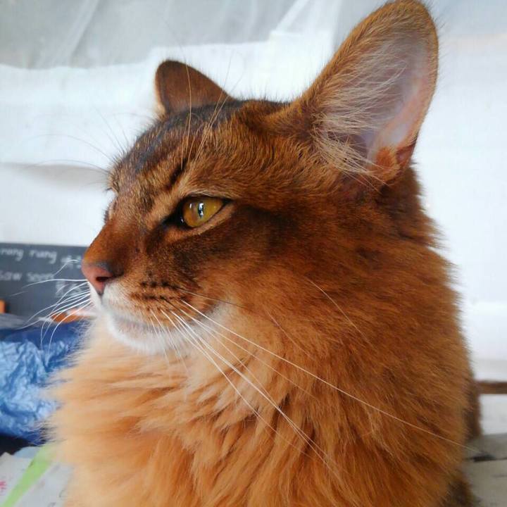 90322580 de07 4566 aedf 7643044ddec0 1591256070157