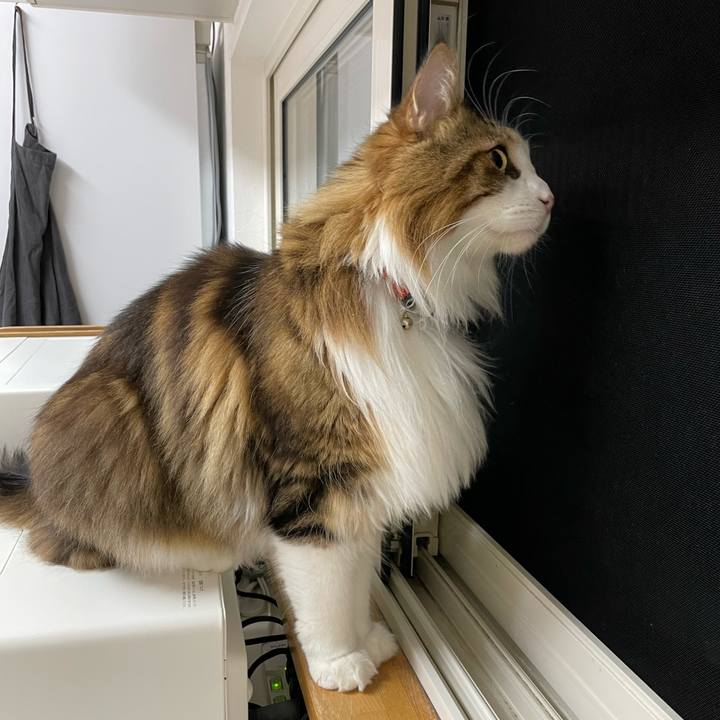 90322a81 3ba1 4e30 91bd 016633cda101 1700423290807