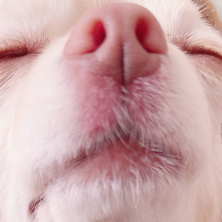 90322d78 f446 4419 9255 8ccdf1733625 1732437303132