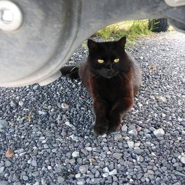 903260e0 e623 4d5e 97bb e9b42ae8a841 1631275472729