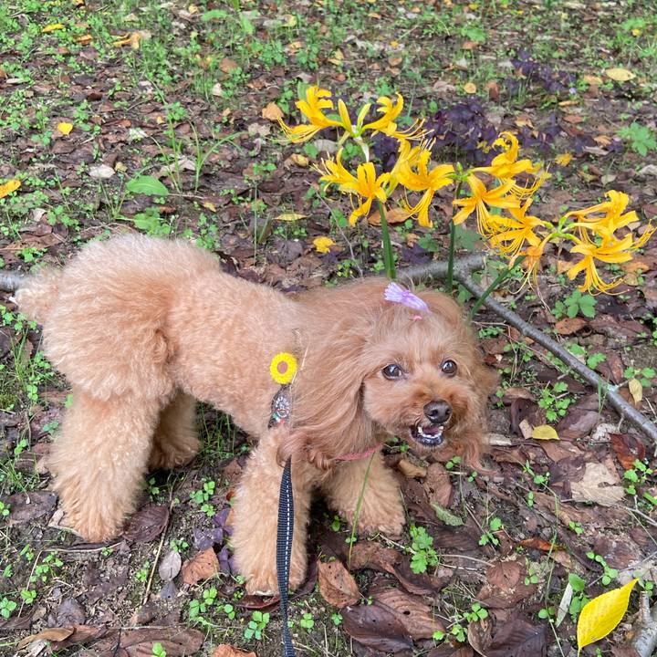 903287a9 81e0 415b 8d3b 3367a66bc7bd 1759971450432