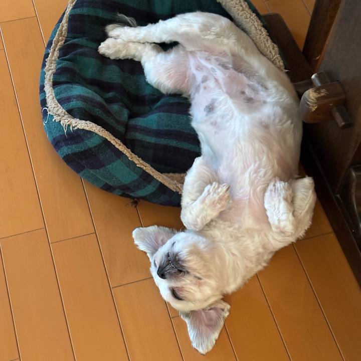 9032a850 00ae 4a76 8814 1db98a2d0457 1757630292149