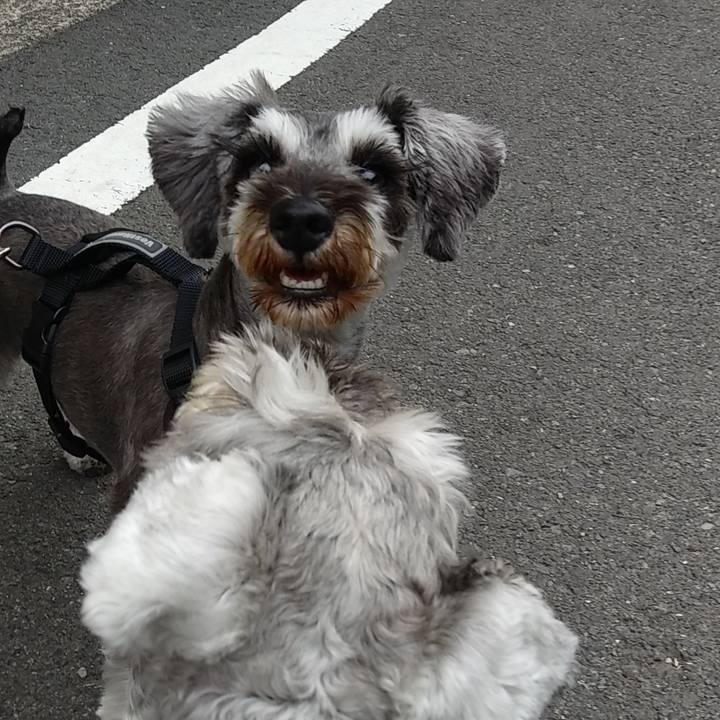 9032cdab 6576 403e 9bb5 40fd8a3ada3a 1559981673391