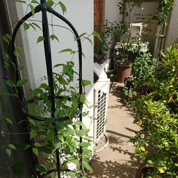 9032d2f9 4768 4e9b 8ab5 697911f9a67a 1557534393999