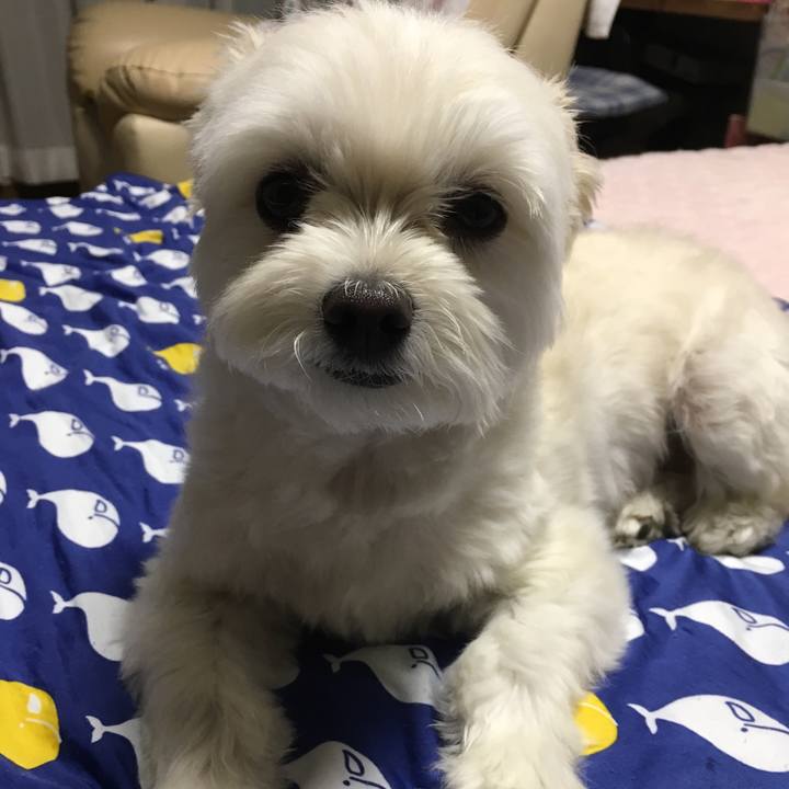 9032db90 0f00 4290 b244 2ac1bdff6e2c 1528374107339