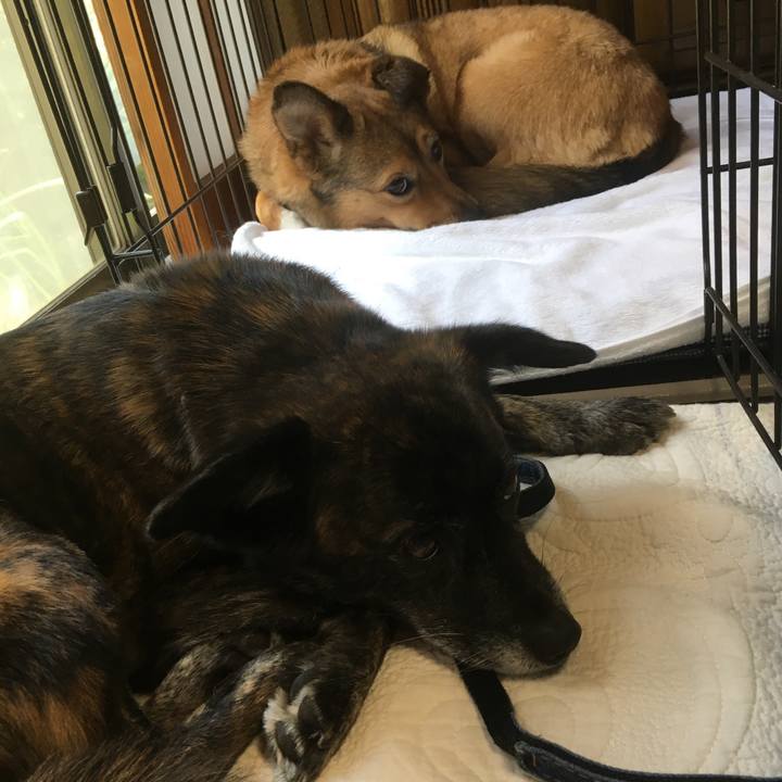 9032fab5 02be 4e9d 9476 cea93b904712 1553907489531