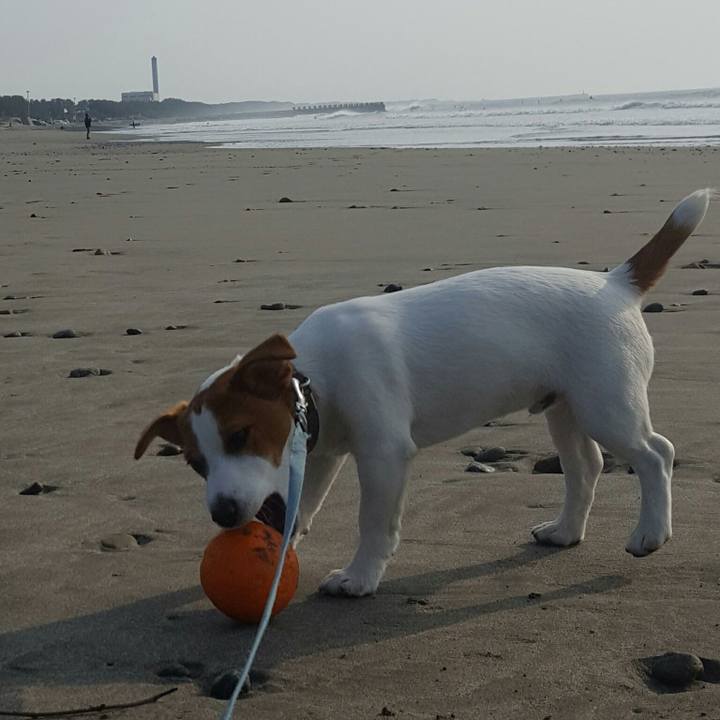 903326ce 4c80 4175 b252 a3198d7604be 1555657591254