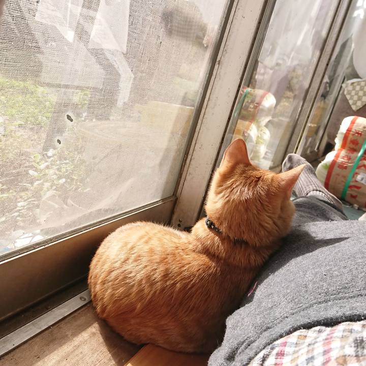 90336065 66e5 4074 bb53 d5e681113499 1636347319014