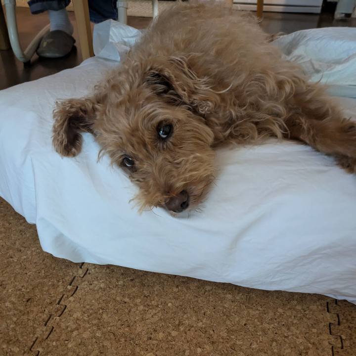 90336e99 28e9 4b19 bc3e 0f5809adbb57 1724631858584