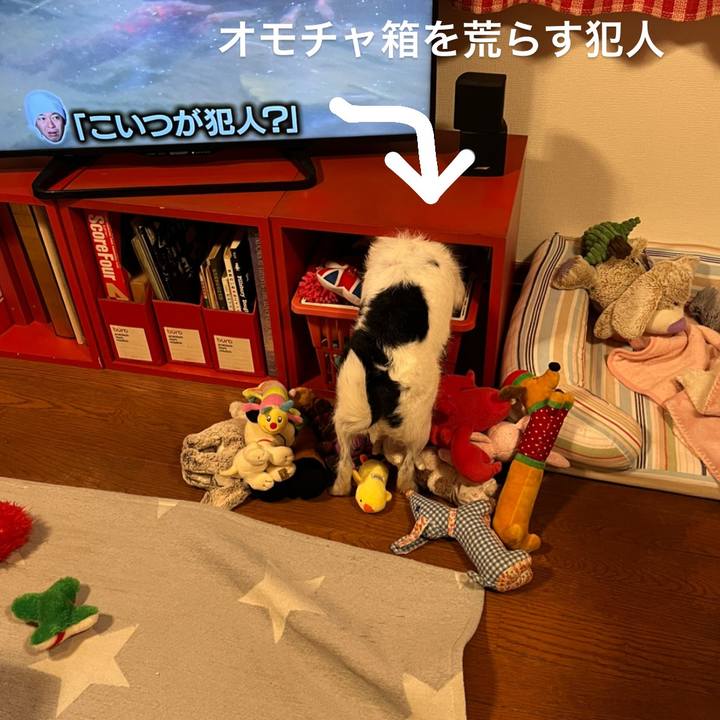 903388bd 4376 4485 a8e4 dae55b7e999b 1665319143429