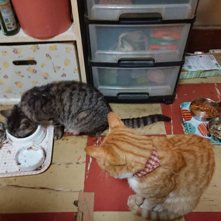 90338c2b 26b1 40c0 a56d 0dd34ba7f719 1562616066710