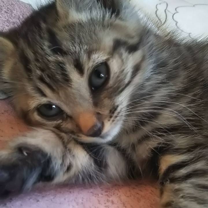 9033c7bd 782a 4d41 890d 93a7088558e0 1633248054030