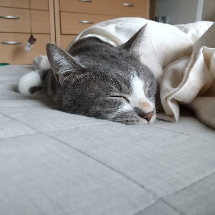 9033ee01 b6d7 497c b09f 7a7868d74591 1634603065766