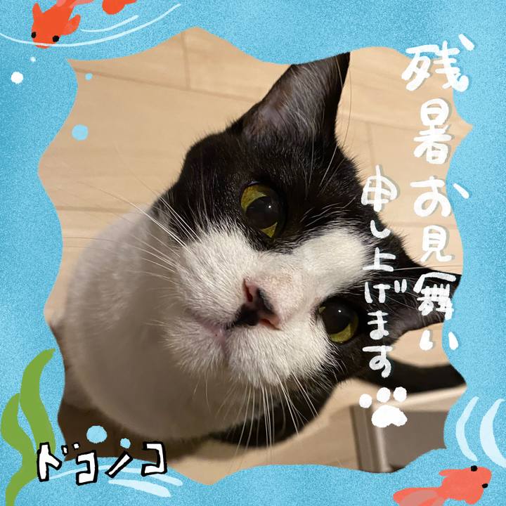 90340483 0176 4bbb 85e6 82a435797cdf 1723290188967