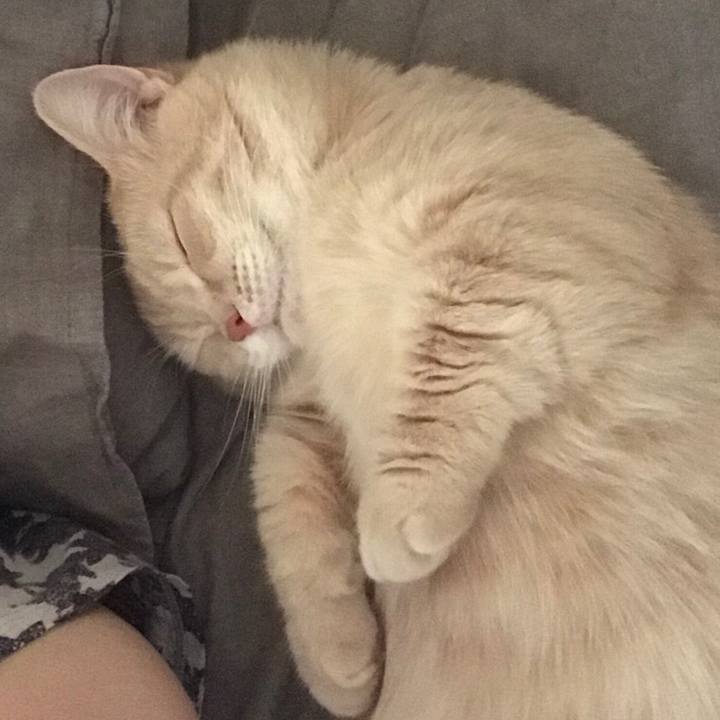 90340e97 9f53 4f9e 82ed 78e20336d3b8 1525606636977