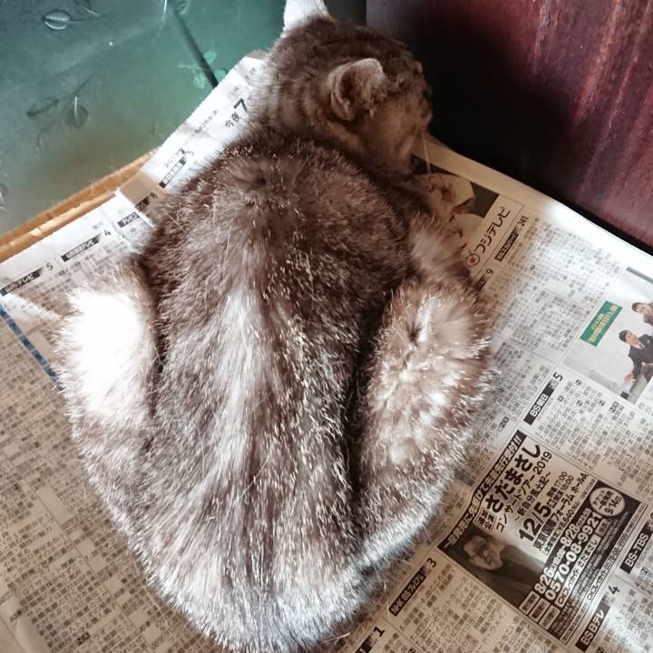 90342d45 1191 4c21 a5cd f0770b4175fe 1568499481102