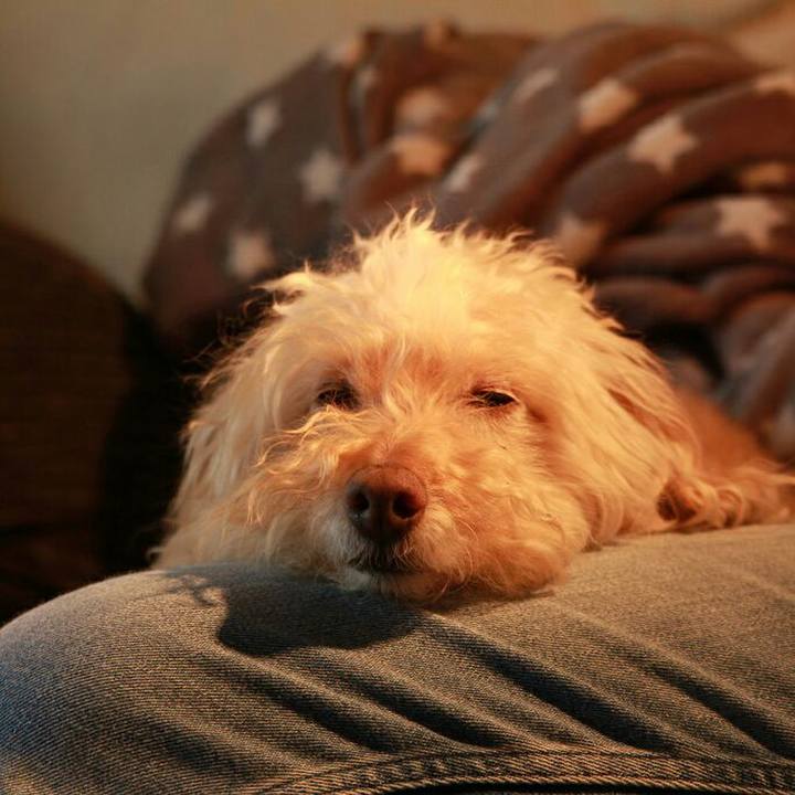 90342e14 8731 4096 b5a2 3089a54fd05f 1586803019267