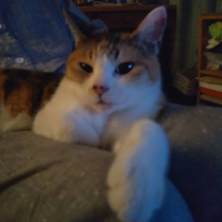 903435b5 ca22 49c5 842a a9fab9263ff8 1690120801780