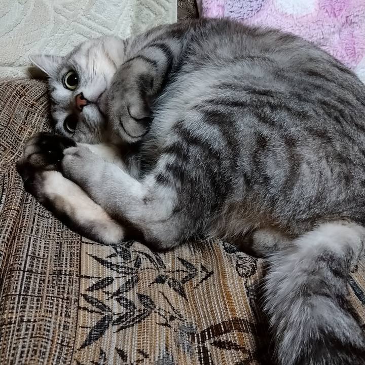 90343f1c 4b62 4a37 b428 0c917bcaf826 1585996225930