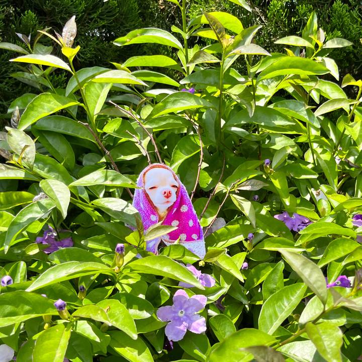 90347e41 4add 42cc a6c8 7026396a9c65 1653544897632