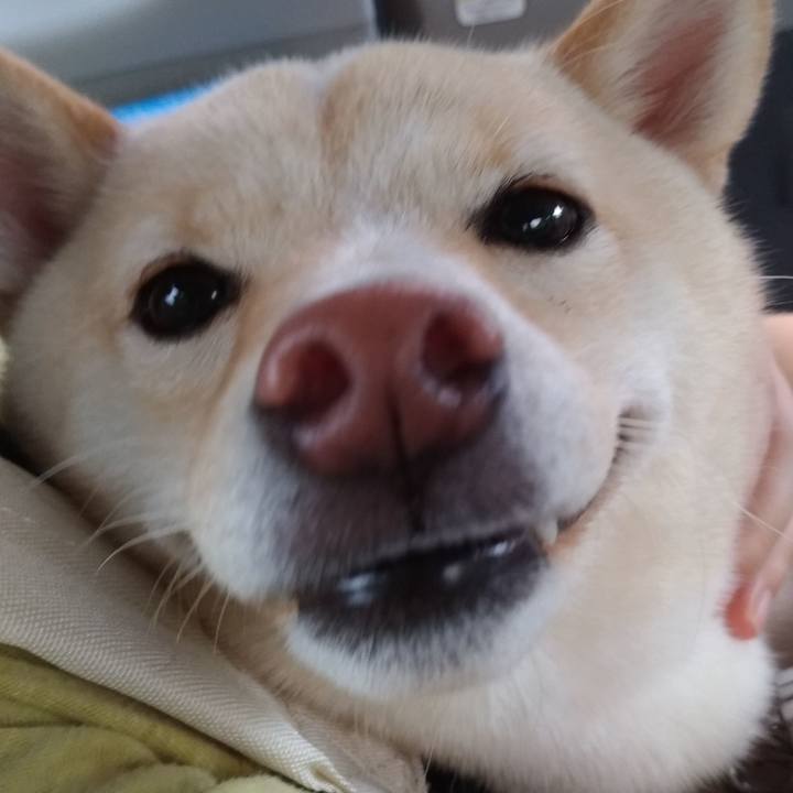 9034a859 2bf7 4cde be4f dd55aeae53bb 1537076601610