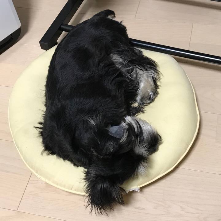 9034b517 e265 489c 8b0c da8d0fcb56b2 1554216510404