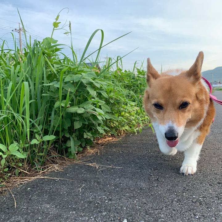 9034bb6a daca 40a0 9c41 7b9f1d5ae041 1721515848548