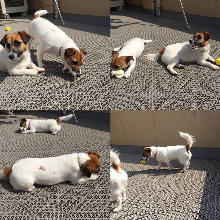 9034e2e1 f9e8 44ae b533 2b1d732071c4 1521338592420