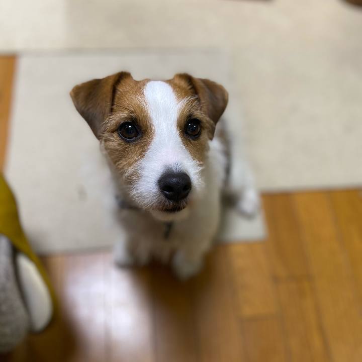 9034eefc 788f 4466 aa1b ae215f8e898b 1681214997866