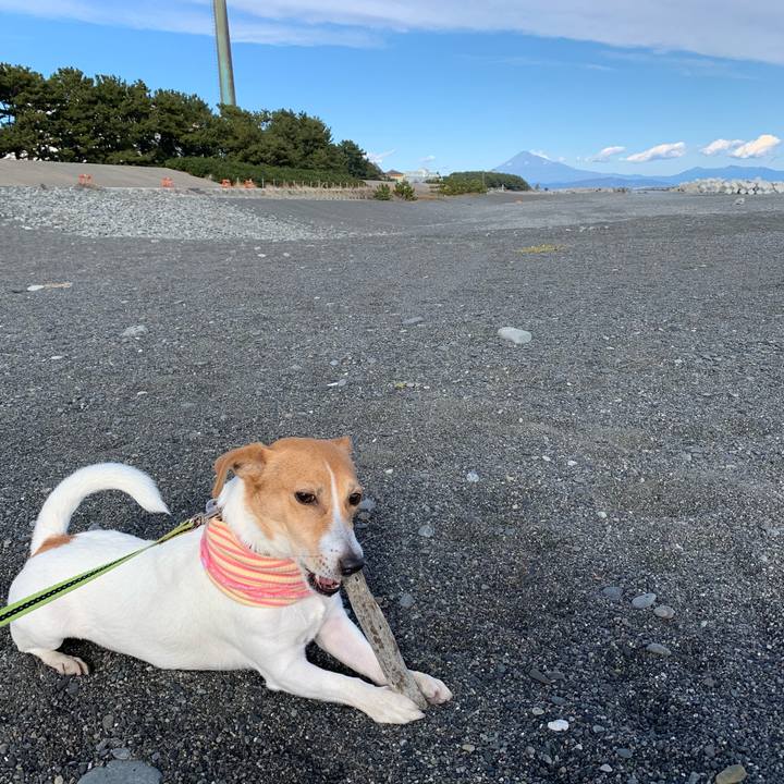 903510f9 1054 4c3b 8de4 0fb3fe65d151 1608456415152