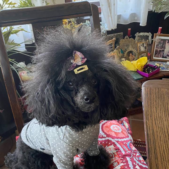 90351858 c663 46ea abf7 30ab6d99143c 1653787369894