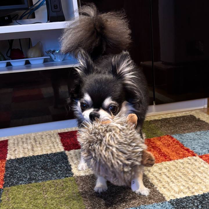 90351c43 cab7 4e53 9046 162cd9e1c5b5 1753546727913