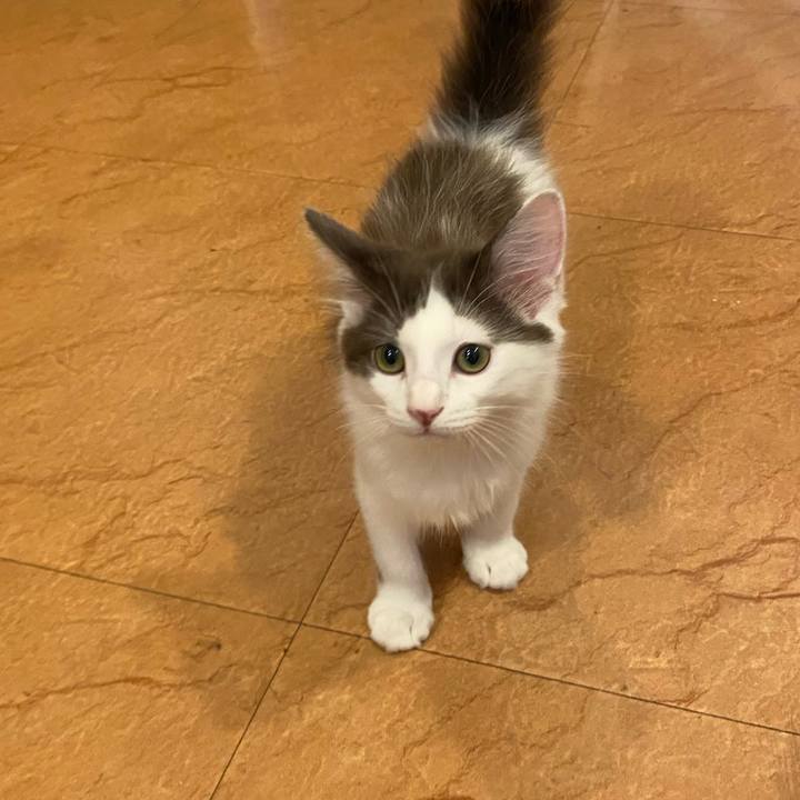 90354c65 d9db 4e35 826e d22a347a99de 1688198669102