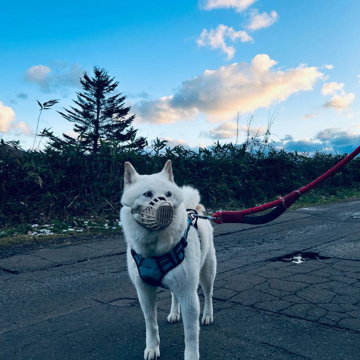 9035aeef bd36 48fe a2e1 8efd0302f9a1 1732486262705