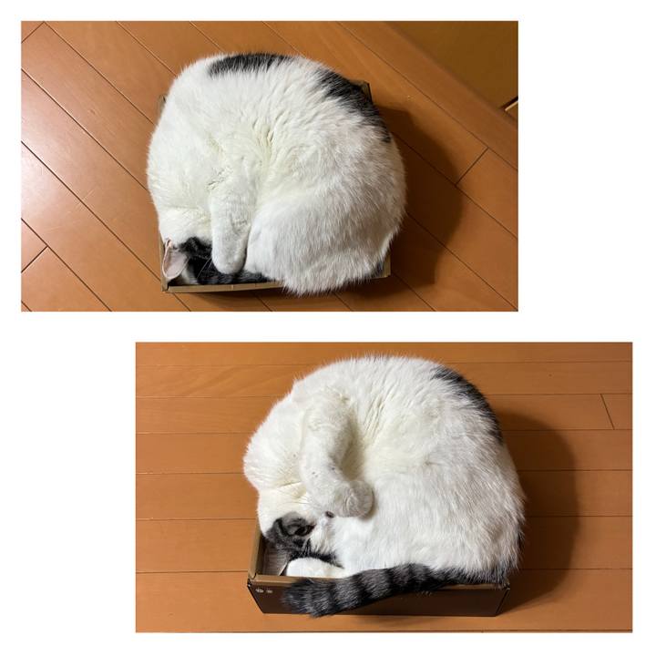 9035b620 3f63 464f 8e7e 93b04fc54625 1765234371019