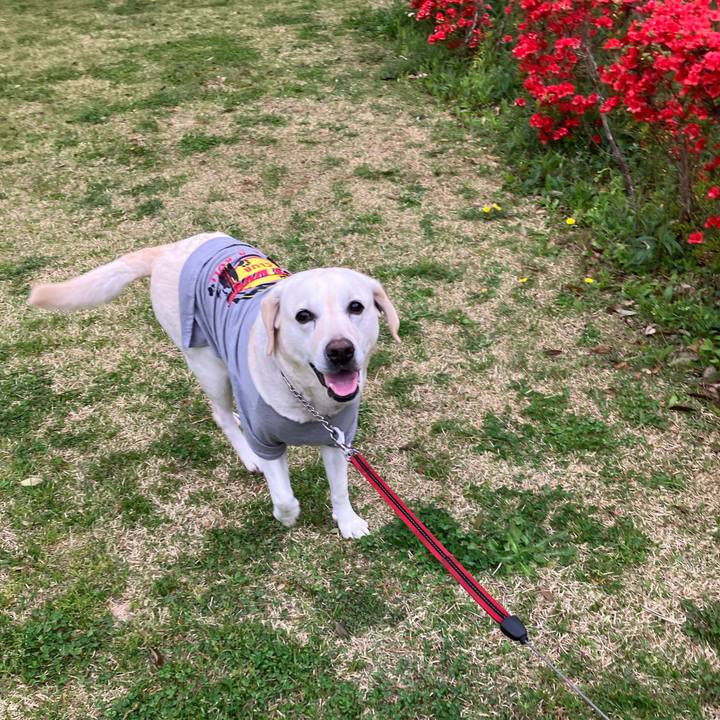 9035c6c2 9999 4728 a7cd 0bbbc67da8ab 1680968768538