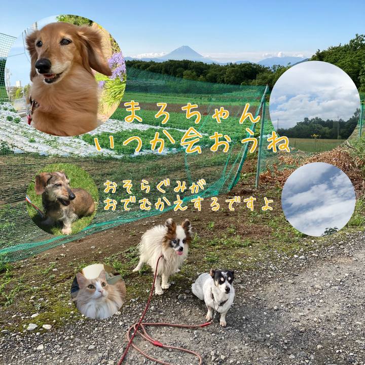 9035da59 6817 4f6f b0dc 8629bd2c2cb7 1685859101319