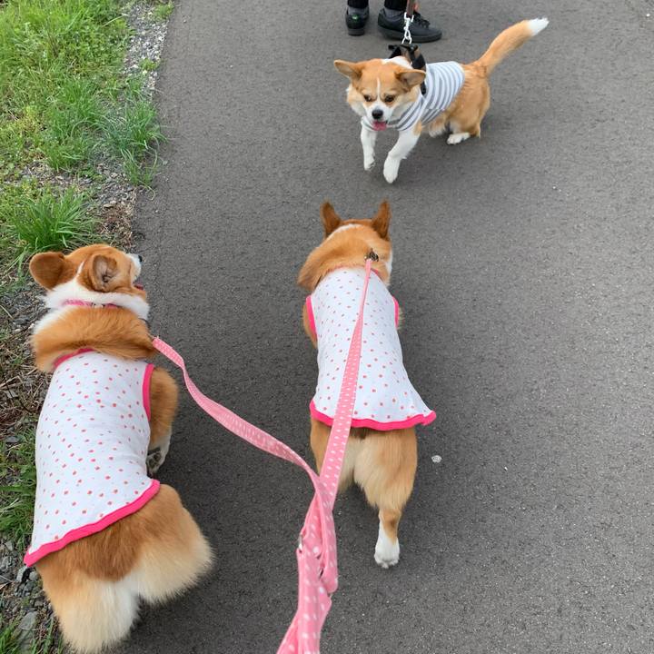 9035e158 a179 4116 a42f 15a05e4182ca 1617344863677