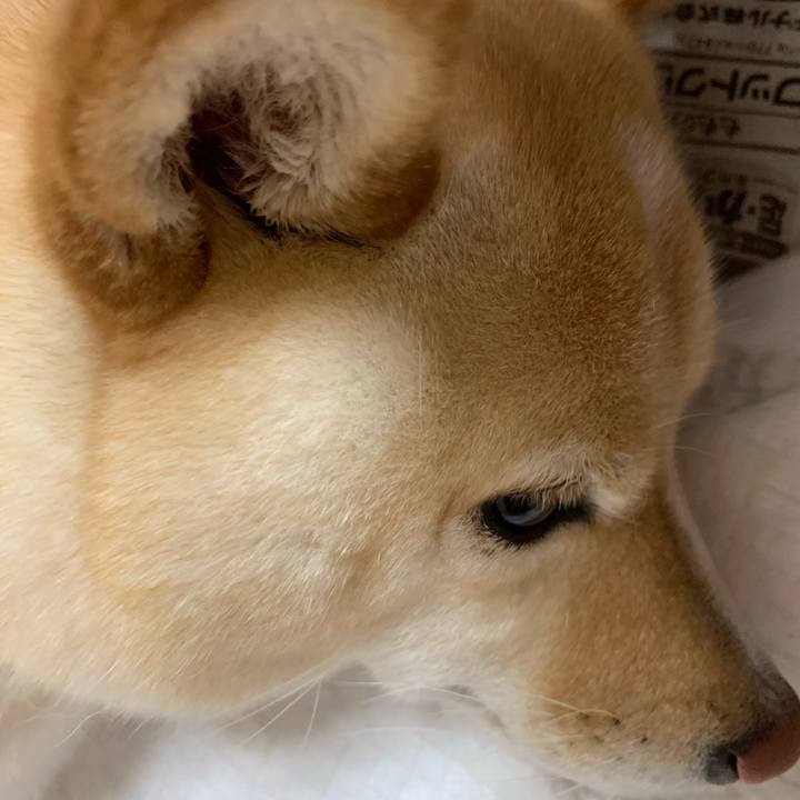 9036338c bbe4 49f0 bd81 2c46958009d1 1626350020967