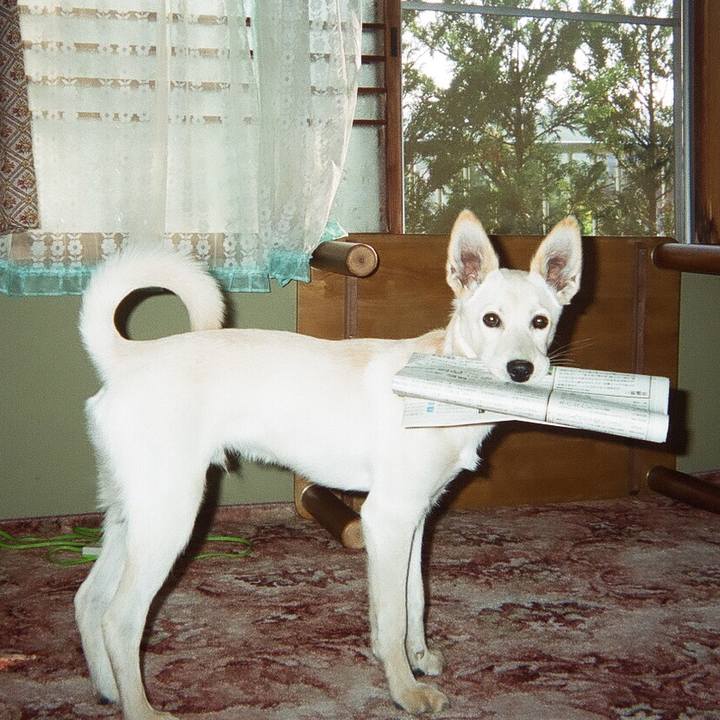 90365be2 8d3d 4137 91ce 1b61966f2d73 1551871783648