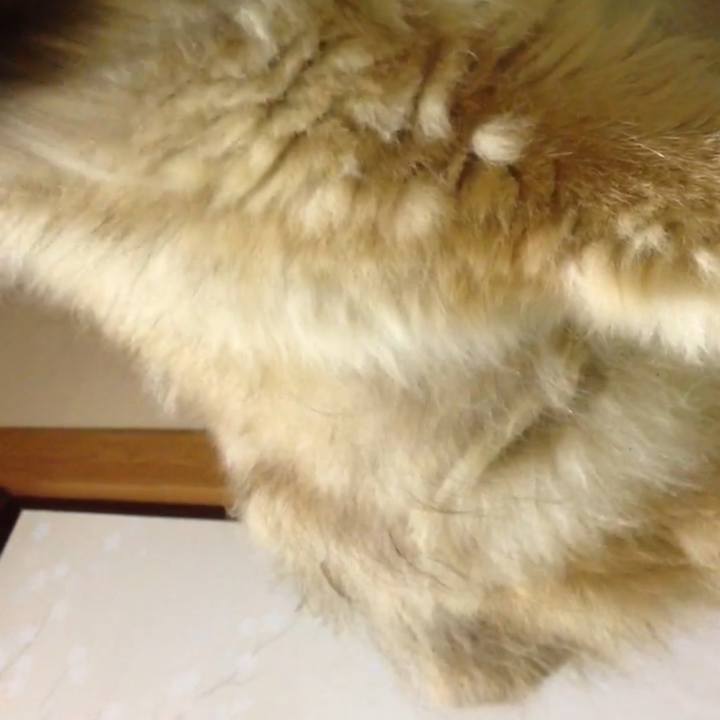 90368ab4 e086 45da beeb 4a431cb2b64d 1604211474723