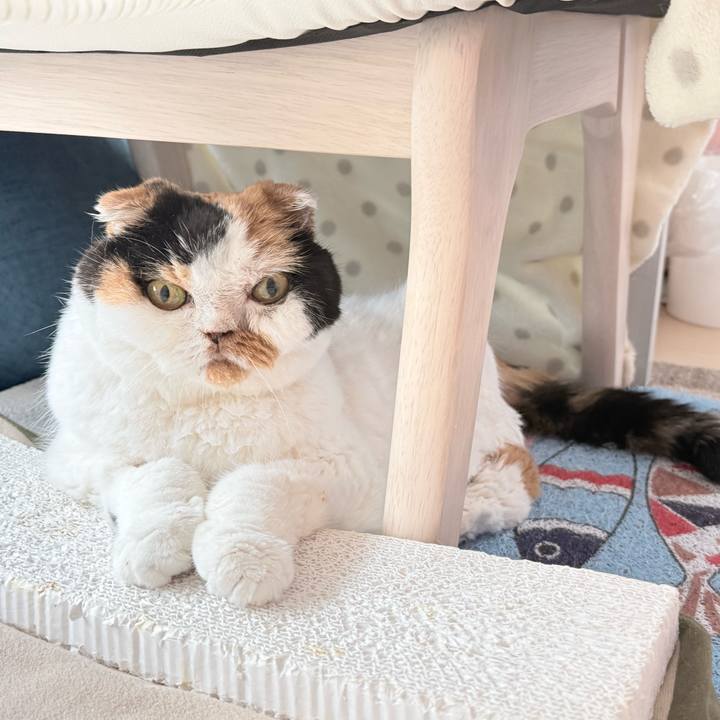 90368e24 959d 4b95 81bf cb8f774c4511 1765090328966