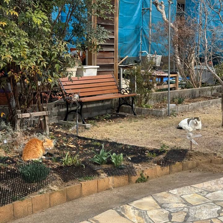 9036f98f ae05 41f4 8fe4 02057c6e52a4 1773369555639