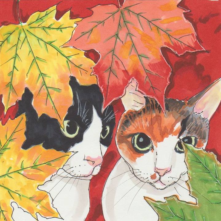 903735bd 97fa 44a4 bf51 94025f241c70 1606532628127